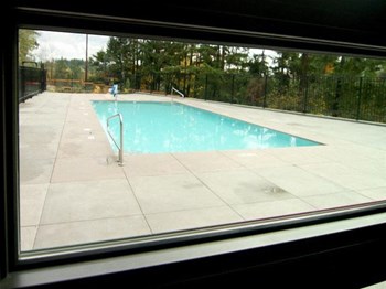 Pool - Photo Gallery 5