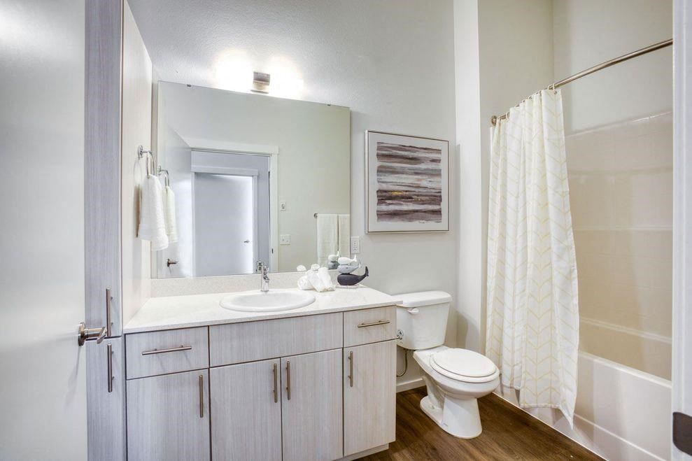 a bathroom with a sink toilet and a shower
