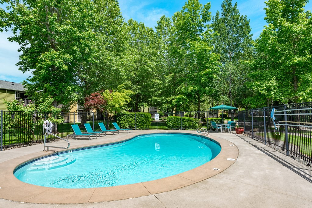 our apartments showcase a swimming pool