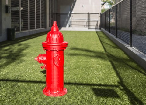 a red fire hydrant sitting in the grass