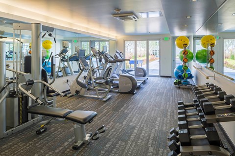 a gym with cardio equipment and weights in a wellness center