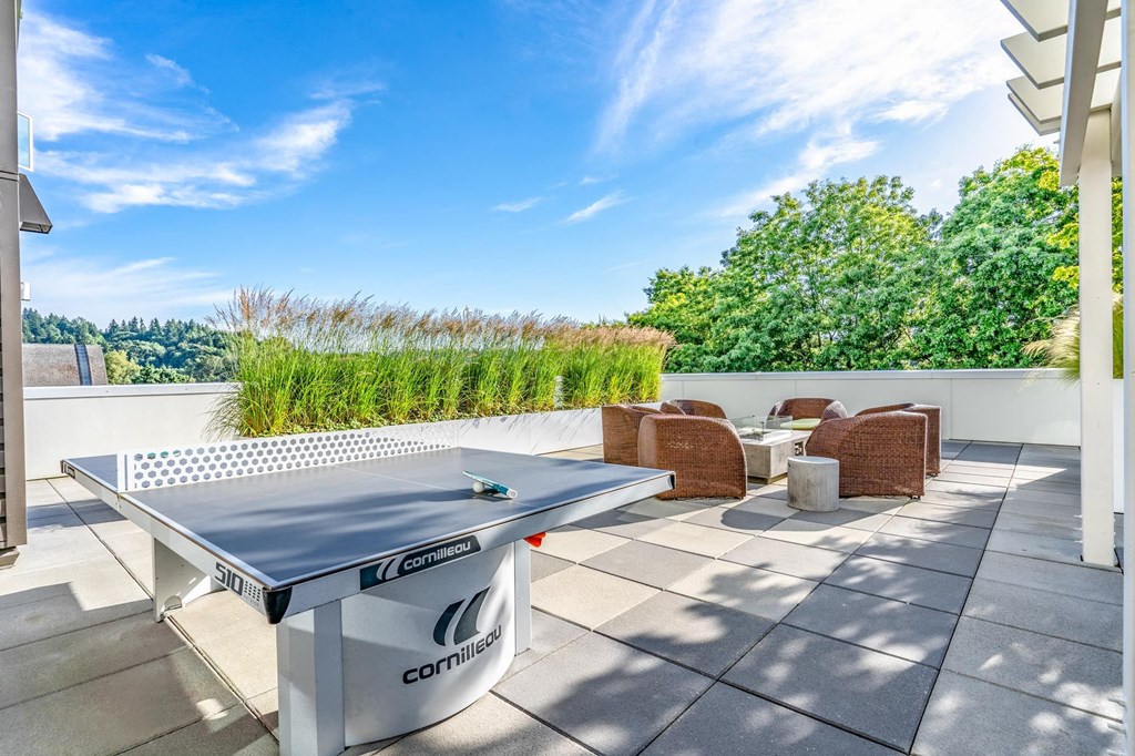 outdoor lounge table tennis