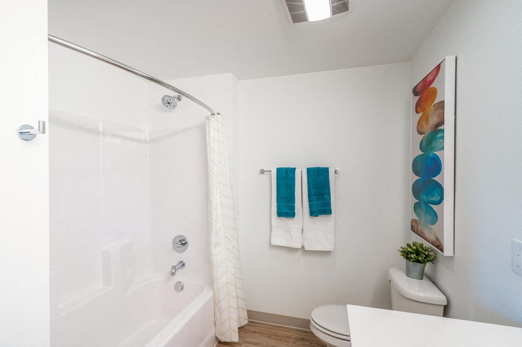 a bathroom with a shower and a toilet and a sink