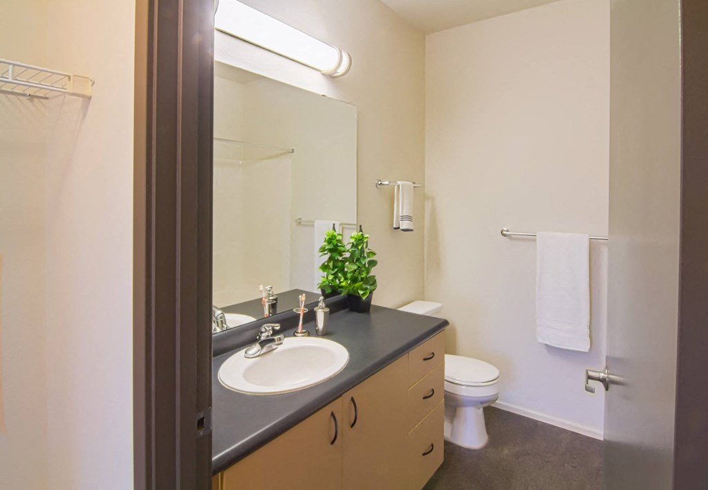 a bathroom with a sink and a toilet and a mirror