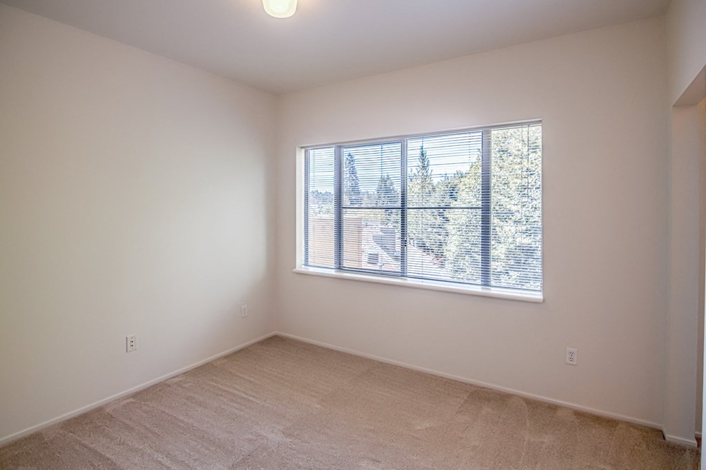 a bedroom with a large window and a carpeted floor