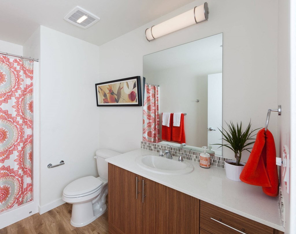 a bathroom with a sink and a toilet and a mirror