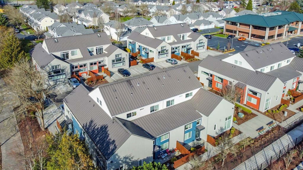 arial view of a neighborhood of houses with roofs