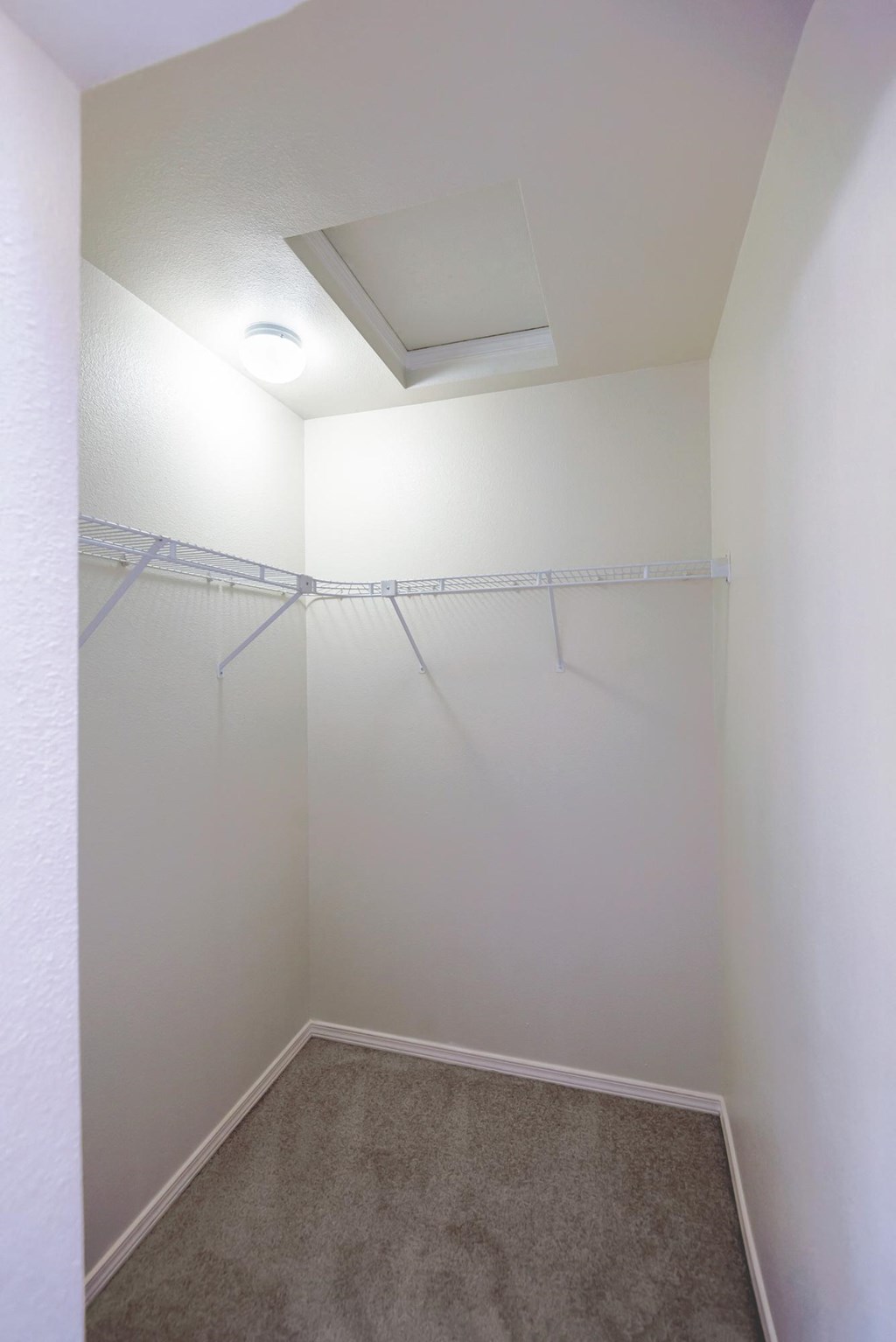 a room with white walls and a carpet