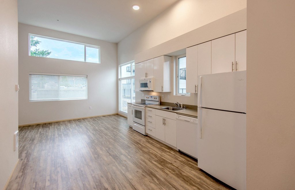 the preserve at ballantyne commons apartment living room and kitchen