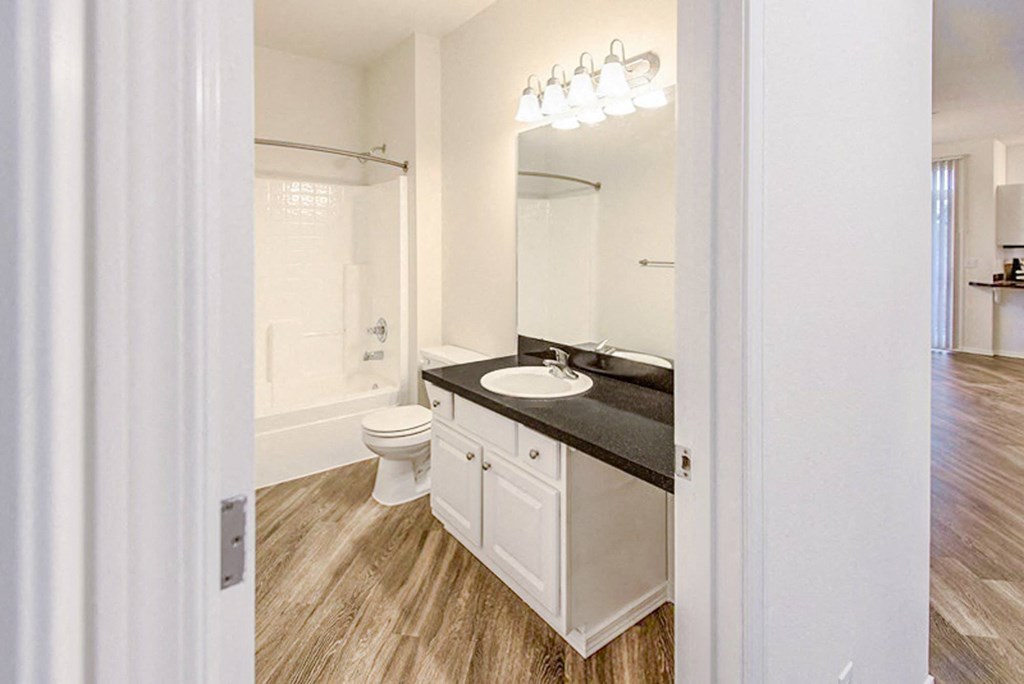 a bathroom with a sink and a toilet