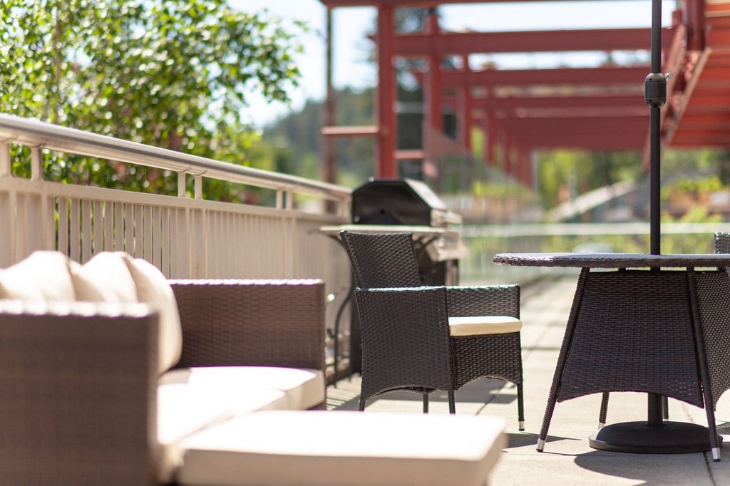 saffron back deck lounge