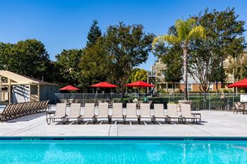 A pool with chairs and umbrellas in front of a building at The Woods Apartments, San Jose