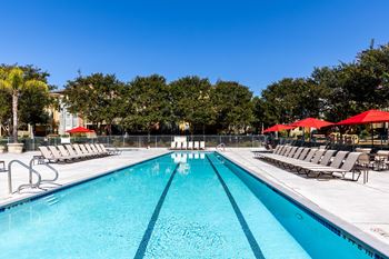 A large swimming pool with lounge chairs and umbrellas at The Woods Apartments, San Jose, 95136