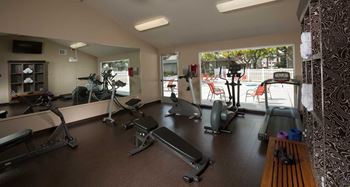 A gym with treadmills, exercise bikes, and other equipment at Cherrywood Apartments, San Jose, California