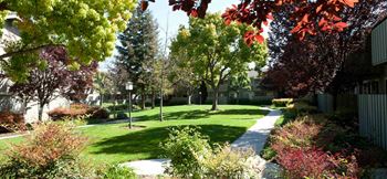 A tree-lined pathway in a park at Cherrywood Apartments, California