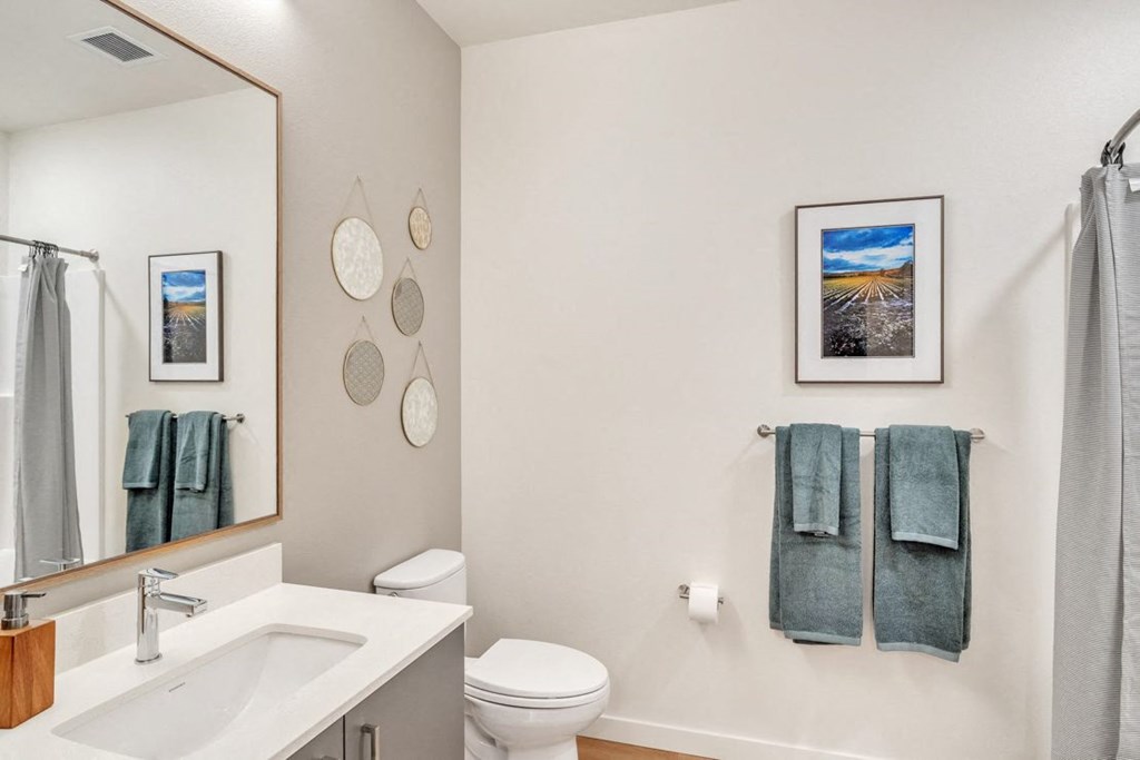 a bathroom with a sink and a toilet and a mirror