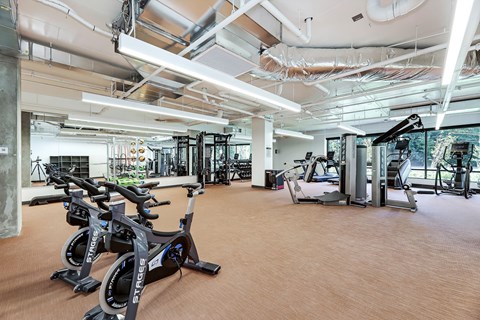 A gym with a row of stationary bikes and a treadmill.