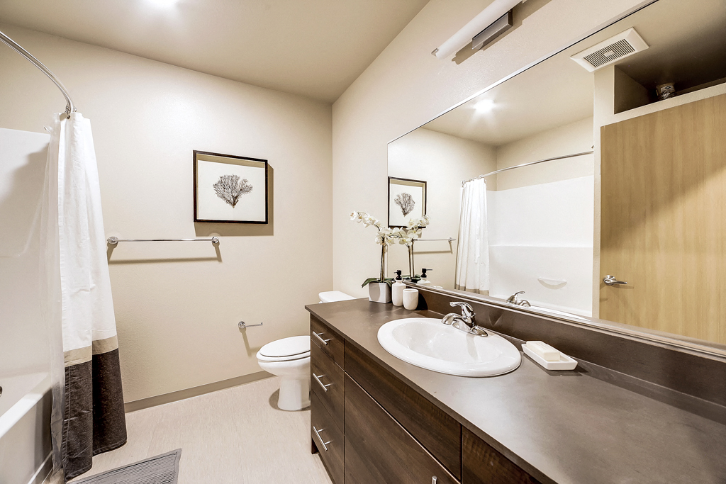 a bathroom with a sink and a toilet and a mirror