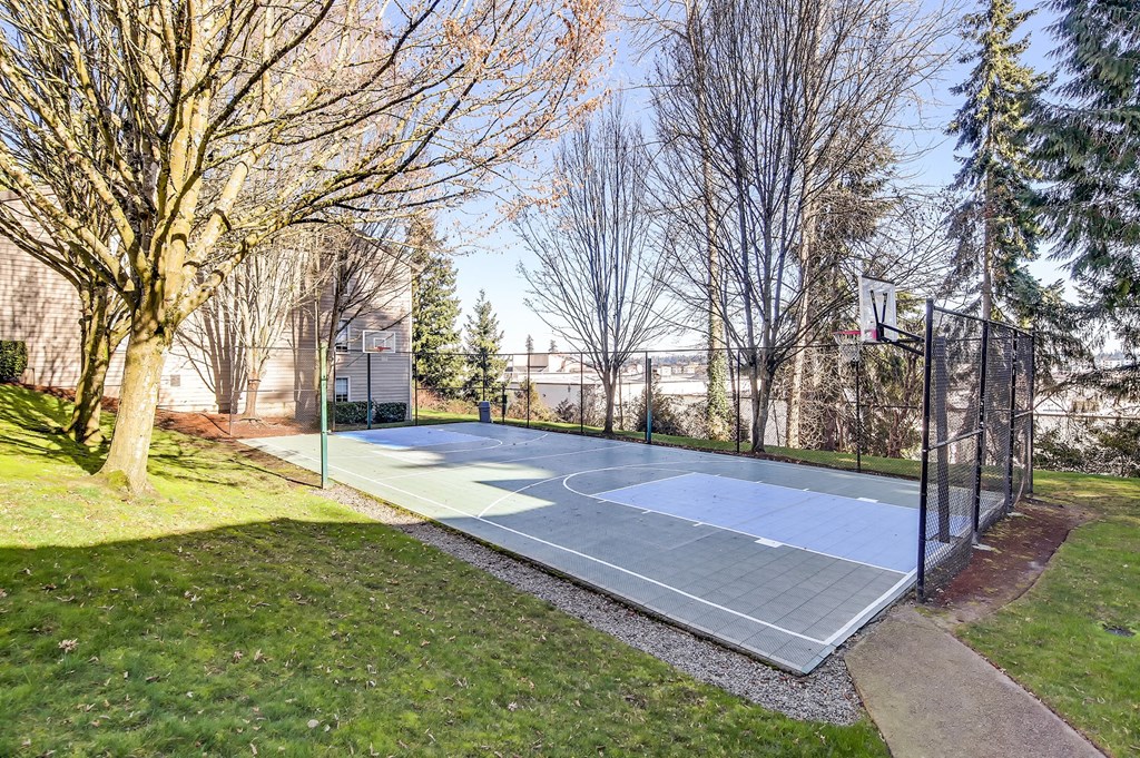 the basketball court is in the backyard of a house with trees