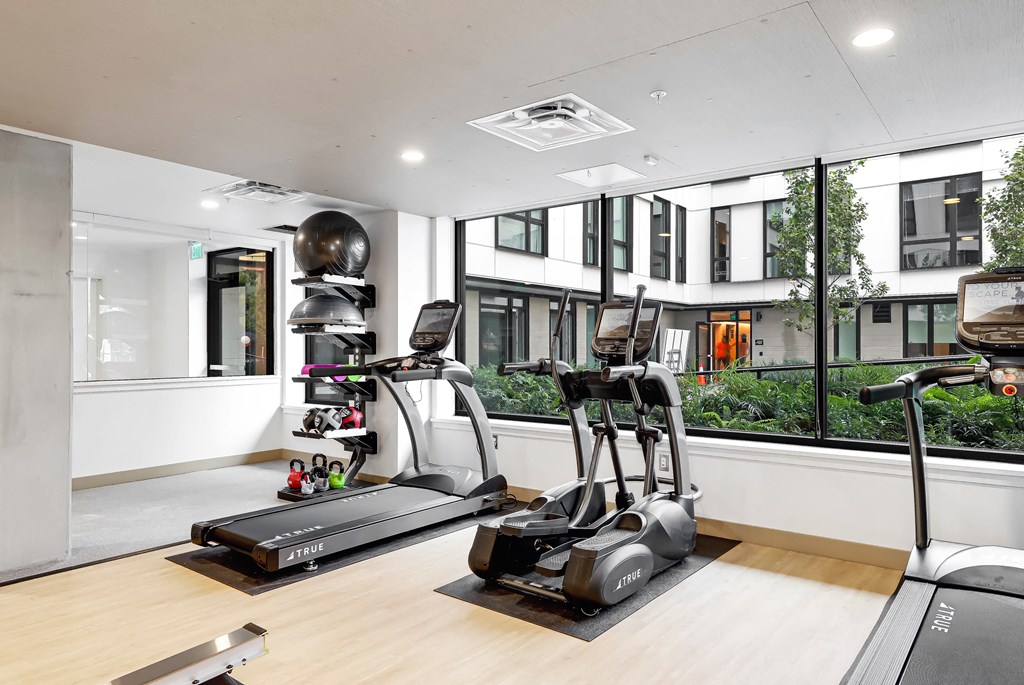 a gym with treadmills and weights in front of a window