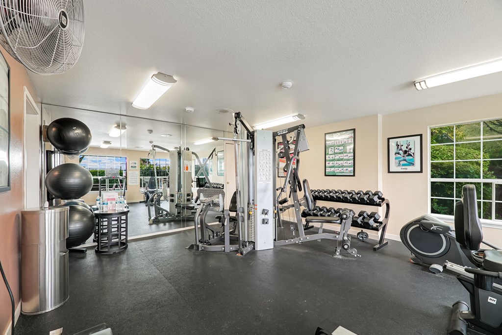 the gym with weights and cardio equipment at the preserve at greatstone