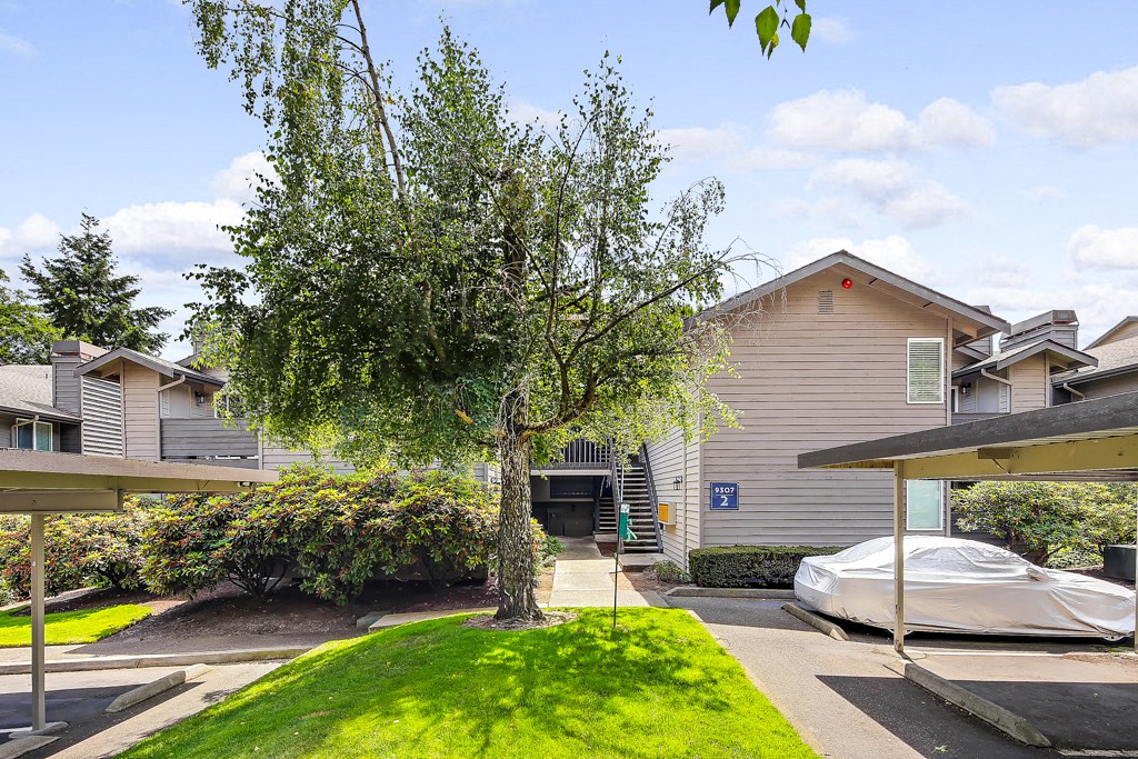 a yard with a tree in front of a house