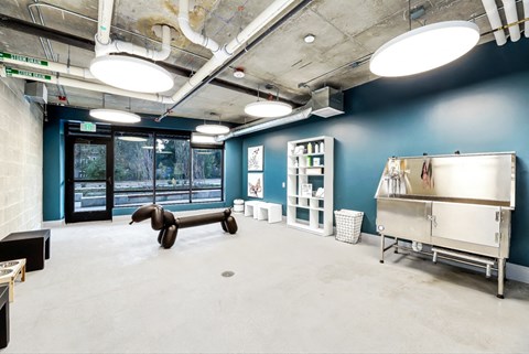 A large open room with a blue wall and a white shelf.