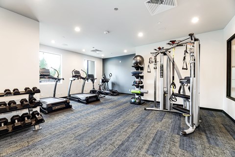 the gym at the flats at big tex apartments