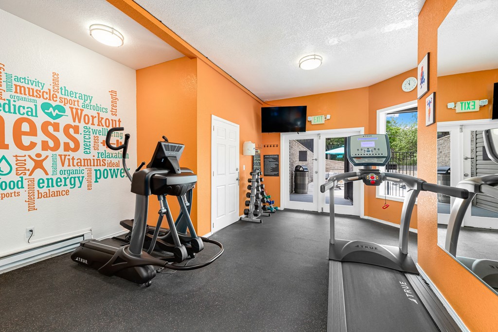 the gym at the enclave at woodbridge apartments in sugar land, tx