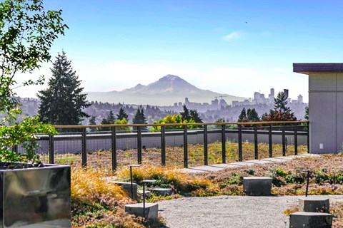 a view of a city and a mountain from a garden