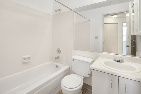 a bathroom with a sink toilet and a bath tub