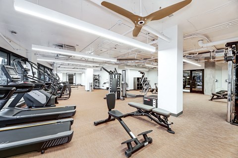 A gym with treadmills, elliptical machines, and weights.