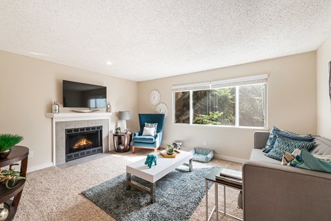 a living room with a fireplace and a tv