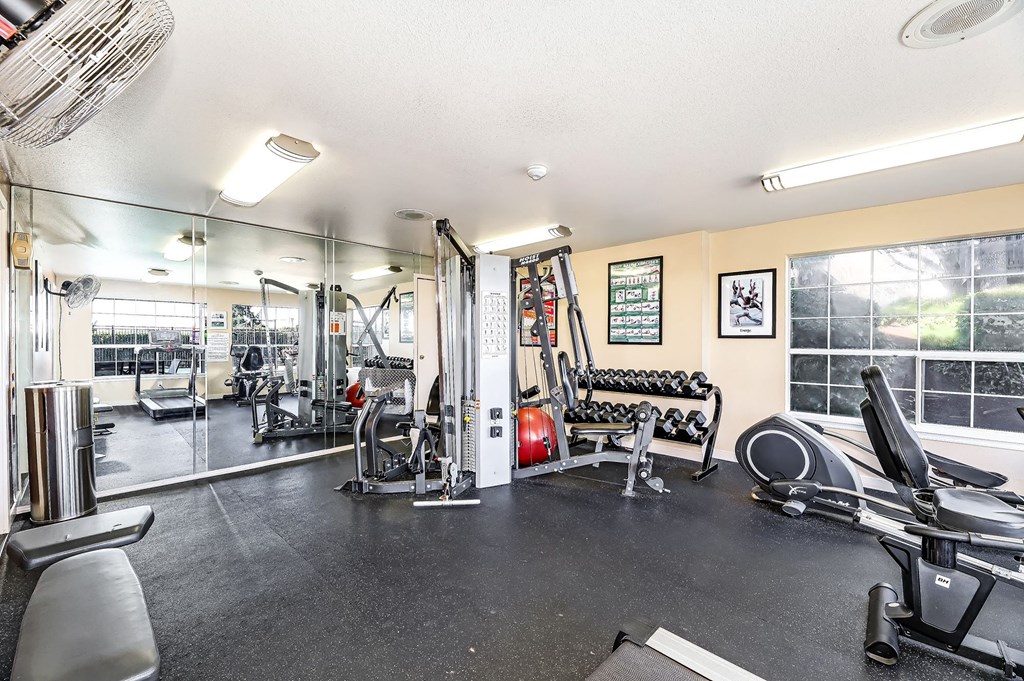 the gym at the house