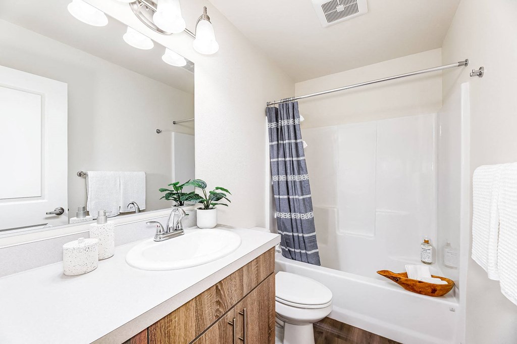 a bathroom with a sink and a shower and a toilet