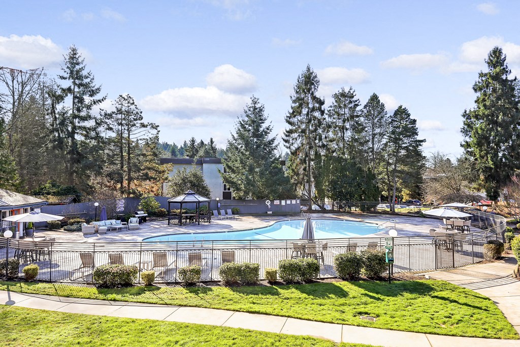 a view of the pool at the resort at paws up