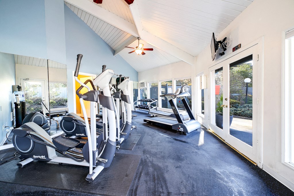 the gym has plenty of cardio equipment and windows