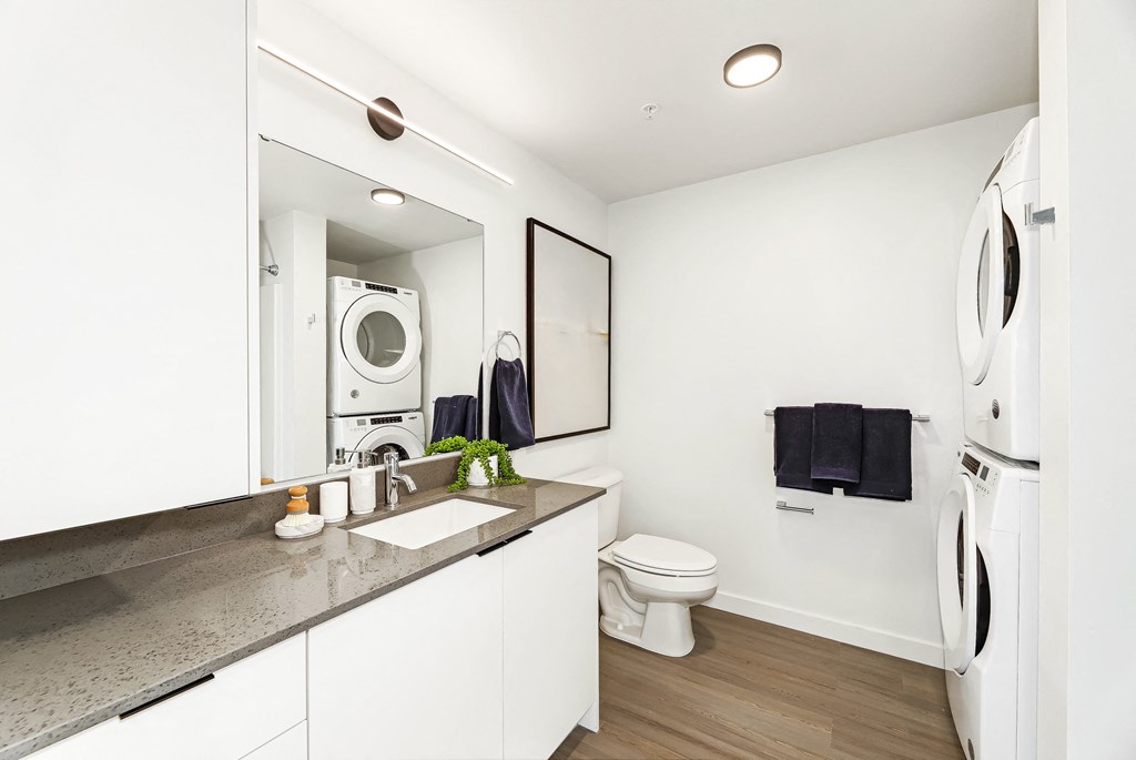 a bathroom with a sink and a toilet and a washing machine