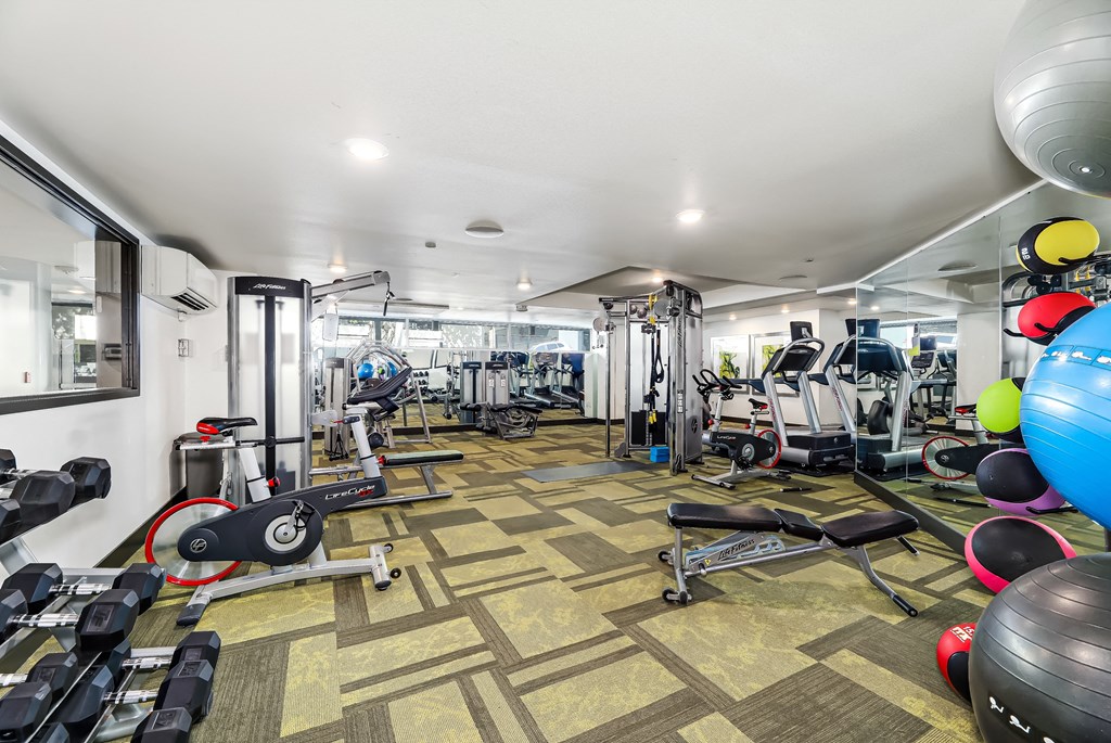 the gym at the enclave at woodbridge apartments in sugar land, tx