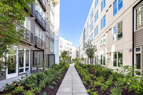 A long walkway with plants on either side.