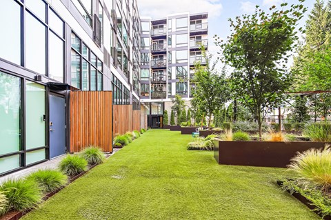 a grassy courtyard with tall buildings and trees