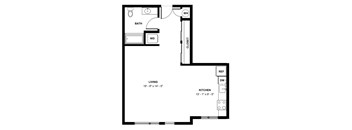 A floor plan of a small apartment with a living area, kitchen, bathroom, and closet.