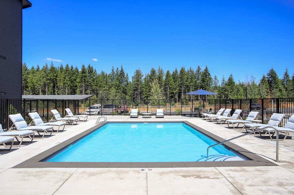 the swimming pool at the resort at paws up