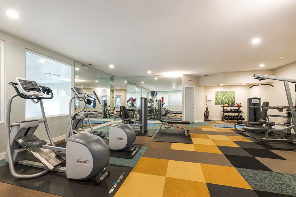 a gym with cardio machines and weights on a checkered floor