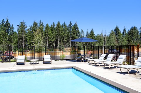 the swimming pool at the resort at paws up