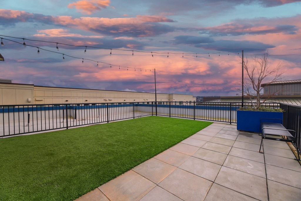 the roof terrace of a building with grass and a view of the sky