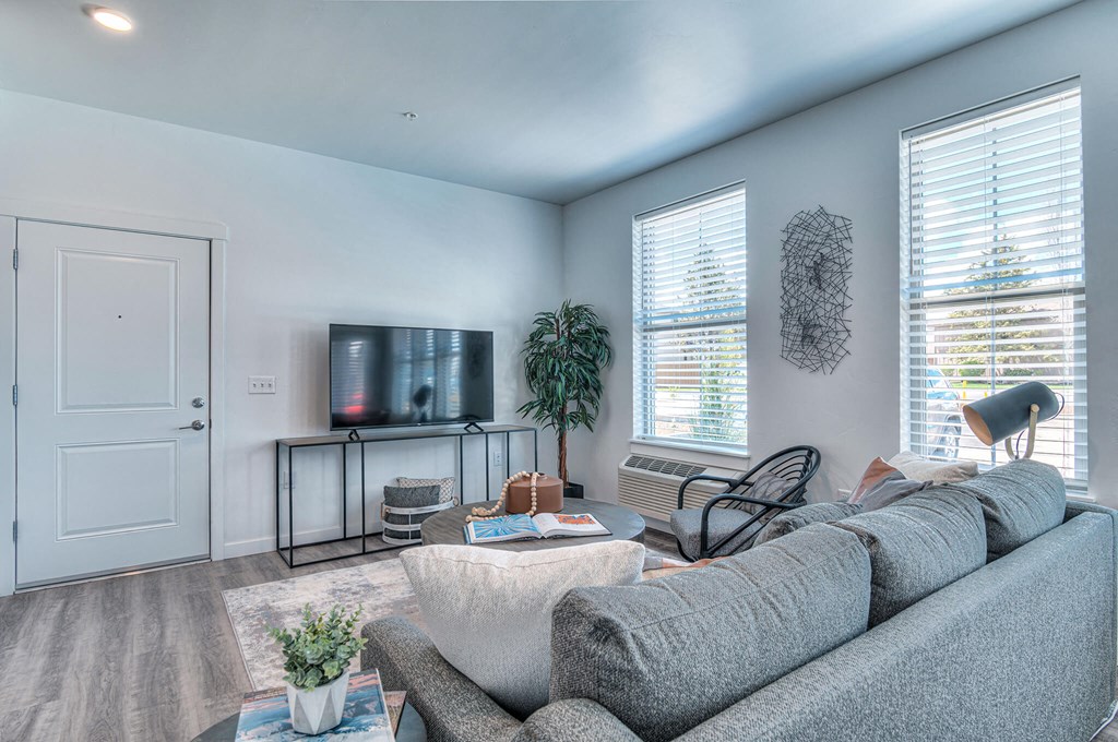 a living room with a gray couch and a tv