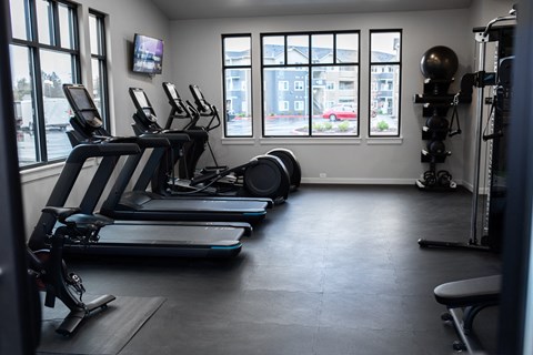 A gym with treadmills, exercise balls, and a television.