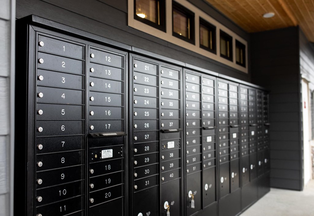 The Douglas At Sunrise