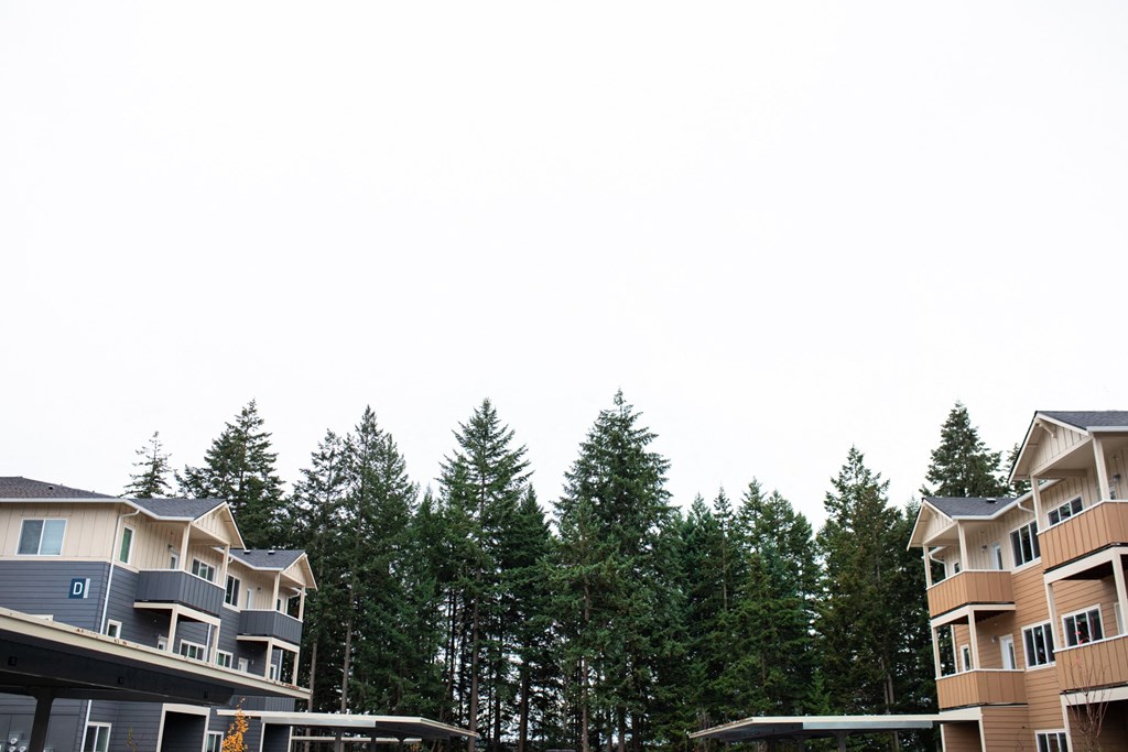 The Douglas At Sunrise